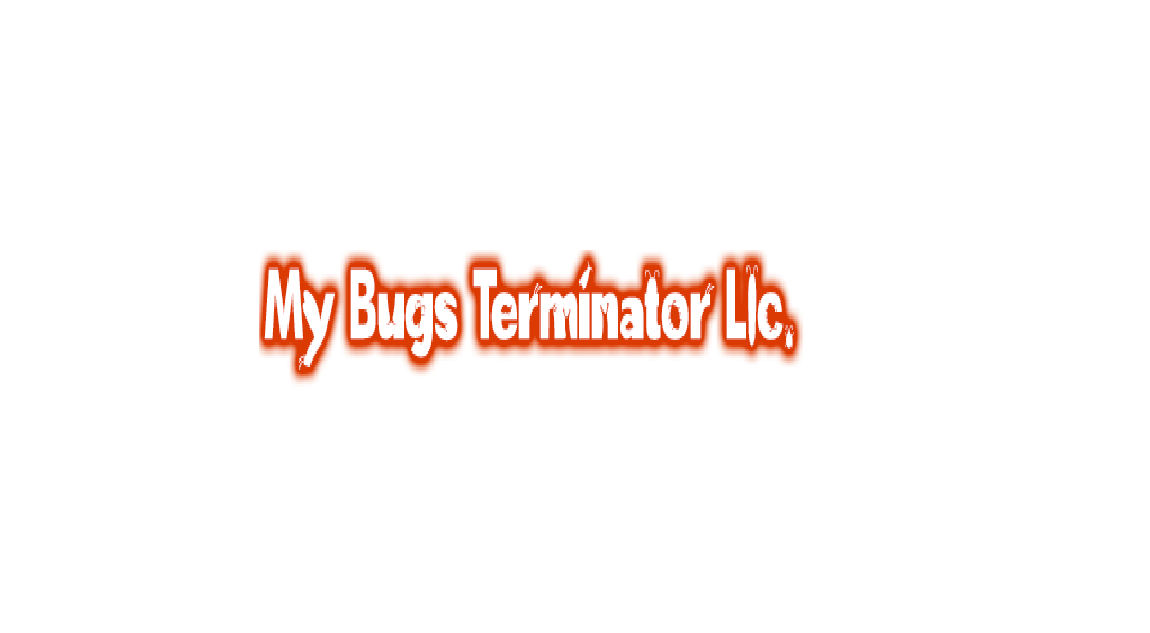 My Bugs Terminator LLC