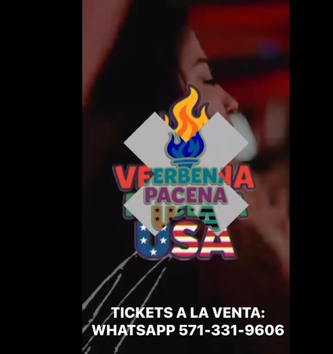 VERBENA PACEÑA USA 2025